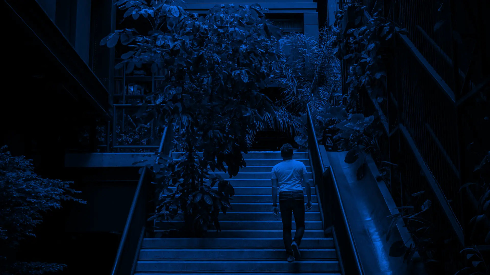 Professional ascending stairs in a modern building